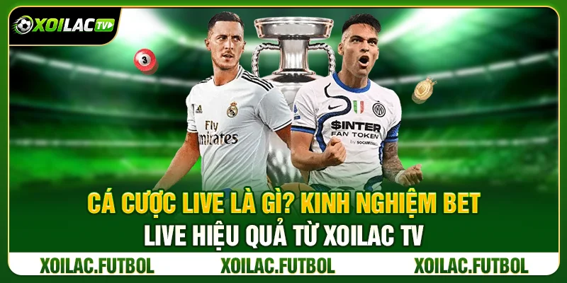 Cá Cược Live Là Gì? Kinh Nghiệm Bet Live Hiệu Quả Từ Xoilac TV 17 Cá Cược Live Là Gì? Kinh Nghiệm Bet Live Hiệu Quả Từ Xoilac TV