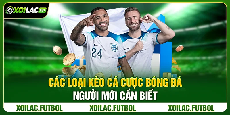 Các Loại Kèo Cá Cược Bóng Đá Người Mới Cần Biết 19 Các Loại Kèo Cá Cược Bóng Đá Người Mới Cần Biết