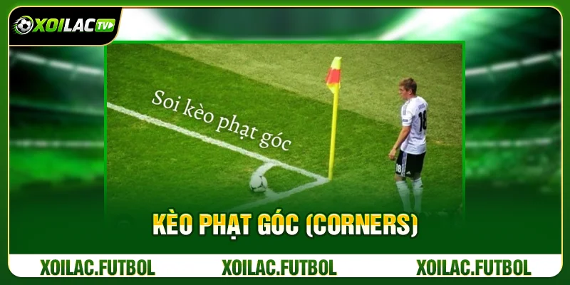 Các Loại Kèo Cá Cược Bóng Đá Người Mới Cần Biết 4 Kèo Phạt Góc (Corners)