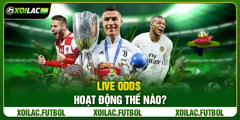 Cá Cược Live Là Gì? Kinh Nghiệm Bet Live Hiệu Quả Từ Xoilac TV 2 Live Odds Hoạt Động Thế Nào?