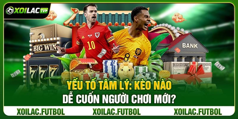 Nên Chơi Kèo Tài Xỉu Hay Kèo Châu Á Với Người Mới? 3 Yếu Tố Tâm Lý: Kèo Nào Dễ Cuốn Người Chơi Mới?